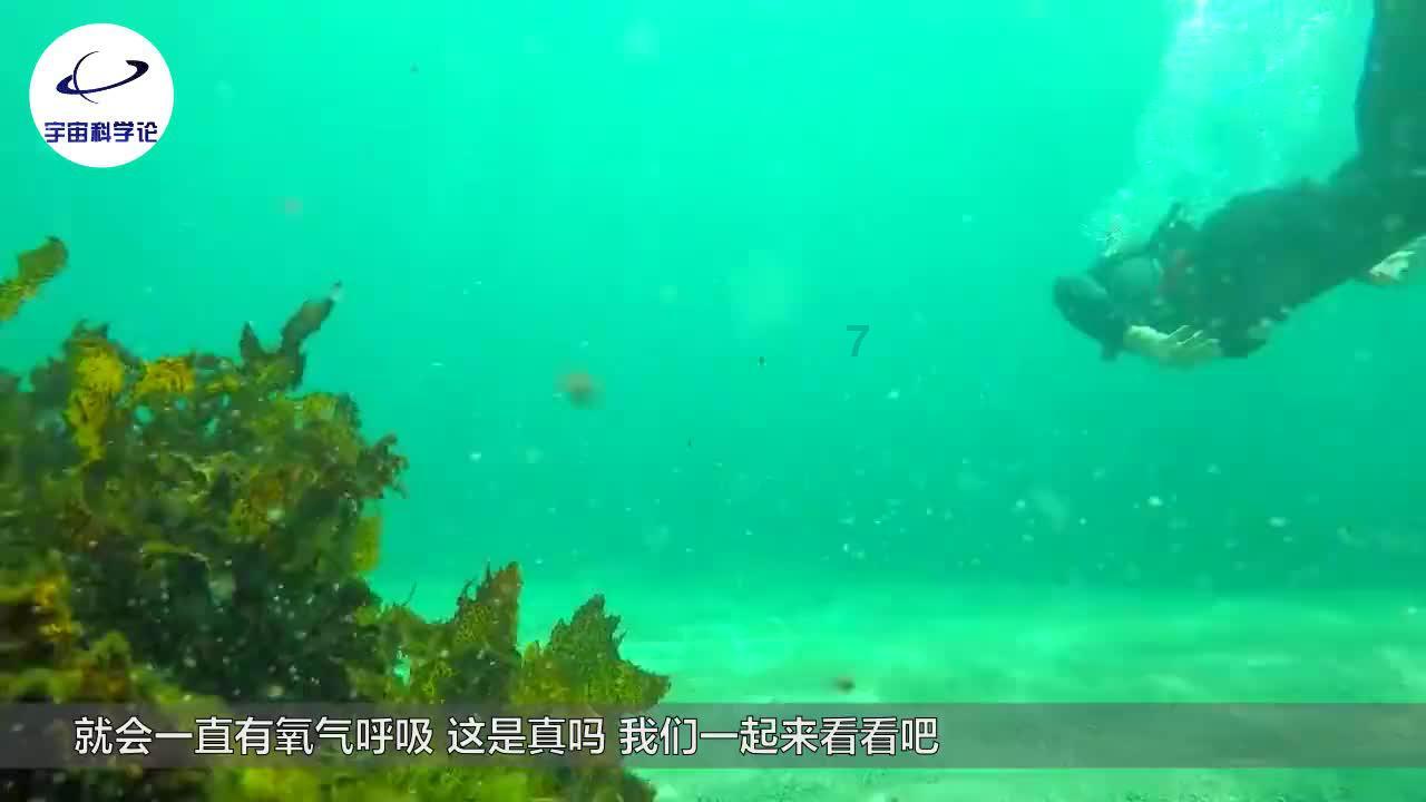88影视