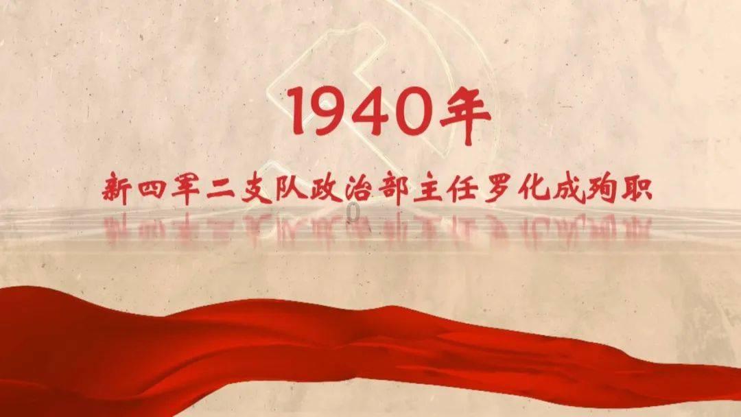 救援贪玩的大象