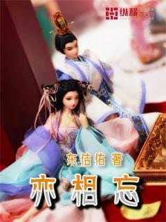 真三国无双8